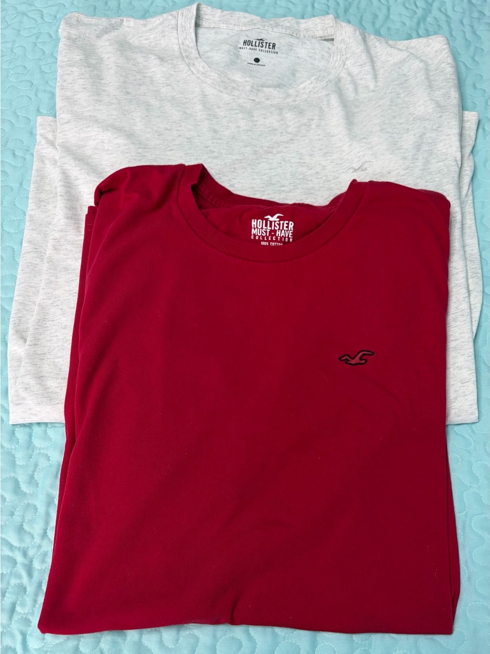 Set of 2 Men’s Hollister Must Have Short Sleeve Tees